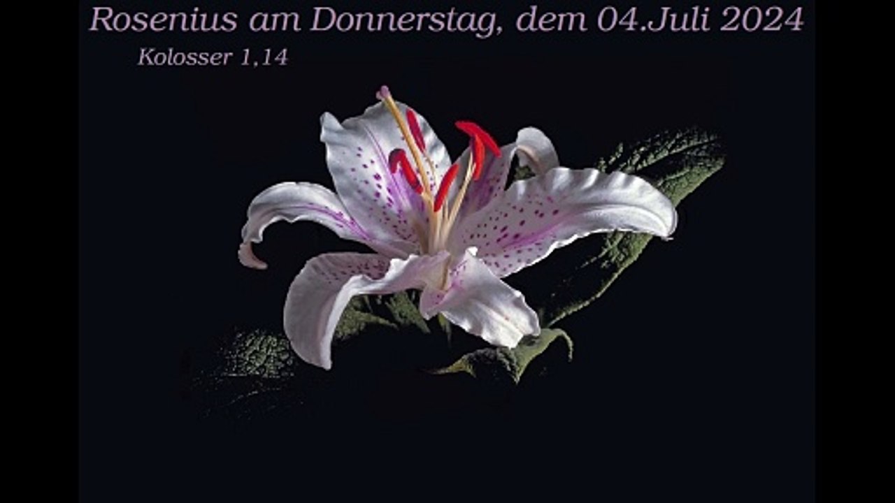 Rosenius am Donnerstag, dem 04. Juli 2024 zu Kolosser 1,14