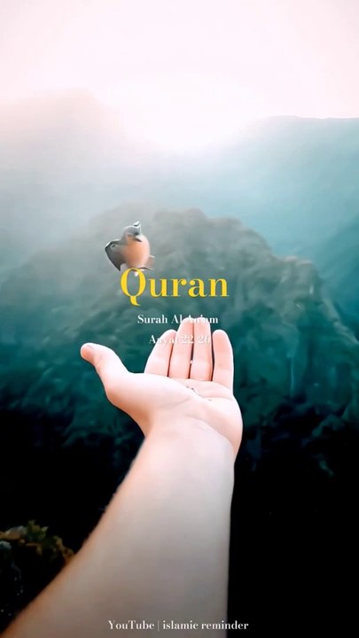 Surah Al Anaam - Video Dailymotion