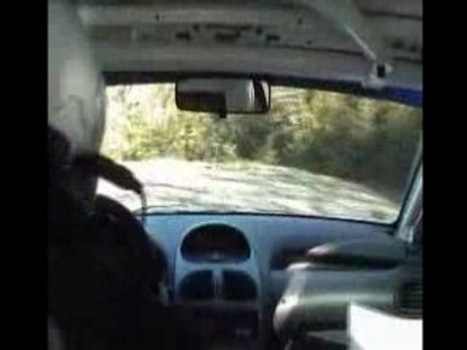 RALLYE VENASQUE 2008 ES4 COL DE MURS CABART/PEREZ 206 N°104