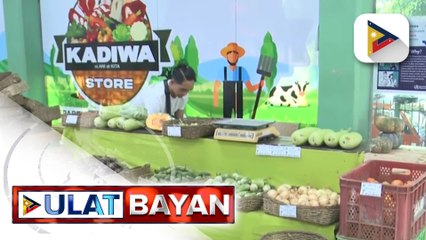 P34.5-M pondo para palakasin ang Kadiwa Stores sa Metro Manila, inaprubahan ng D.A.