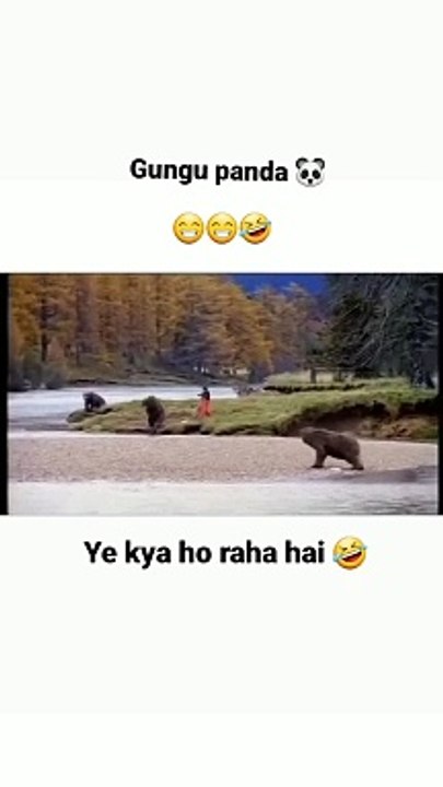 Funny Panda video