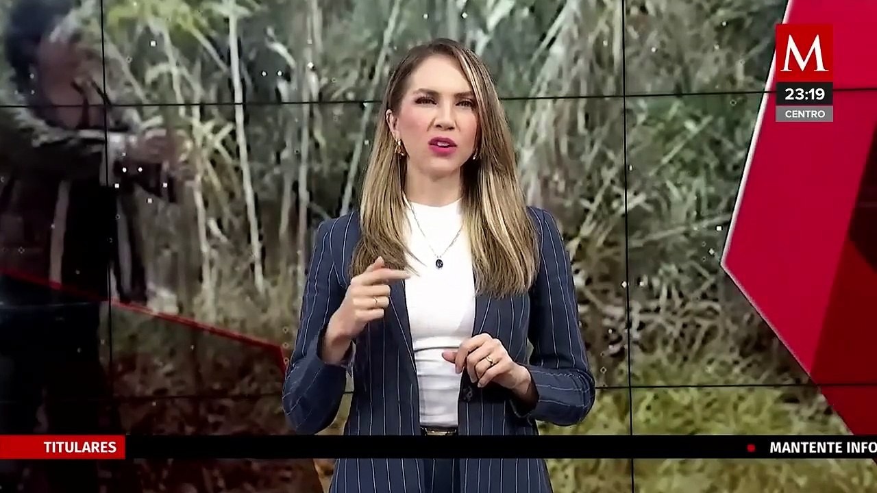 Oaxaca inicia proyecto de reforestación con el árbol 'Pochote' para enfrentar el cambio climático