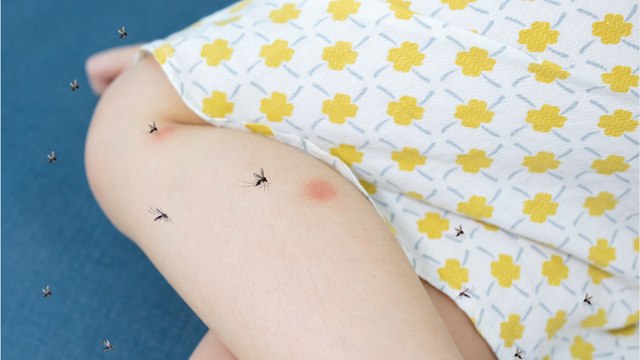 Holiday warning issued as parasite virus found in Spanish and Italian hotspots for tourists