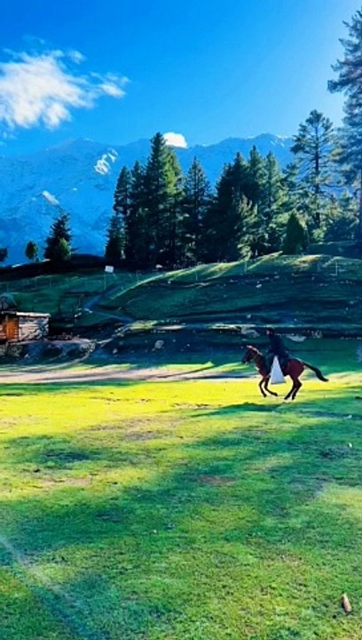 Nature's Splendour Awaits You