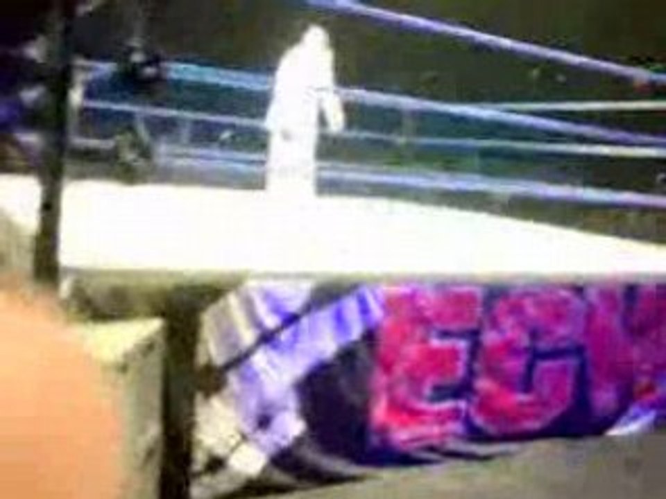 WWE Wrestlemania 2008 Revenge Tour Introduction