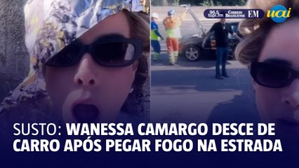 Wanessa Camargo no meio da estrada após carro pegar fogo