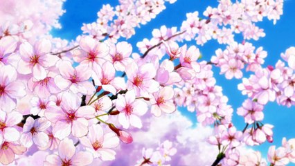 Senpai is an Otokonoko - Tráiler oficial