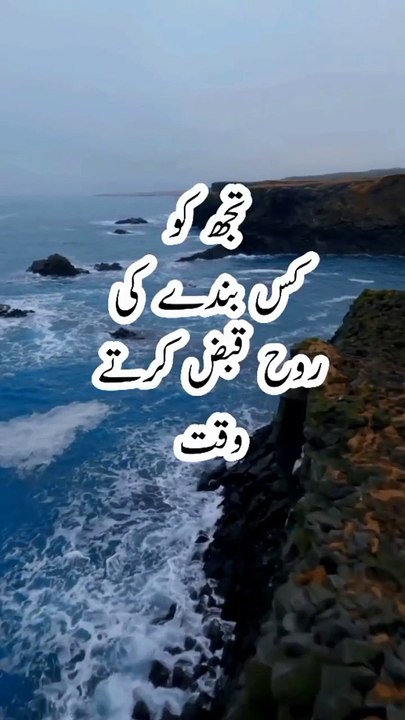 _foryou(MP4)
