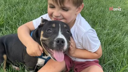 Unwanted puppy given only 6 months to live finds a loving home