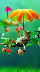 Bohat piyari vedio hai