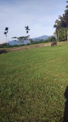 20240323_134655851.mp4_play_ID