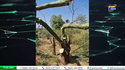 e Media | Expreso 24/7 (406)