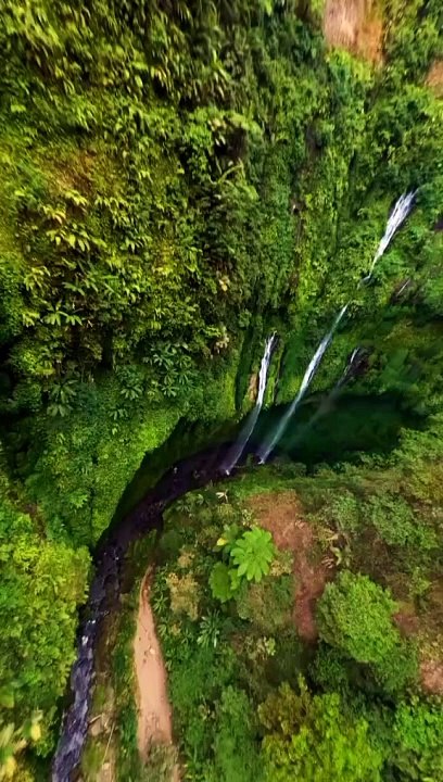 Nature video very nice