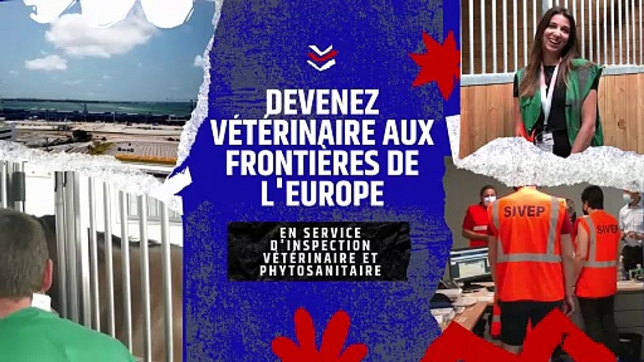 La DRAAF Hauts-de-France recrute des vétérinaires aux frontières au sein de ses services d'inspection