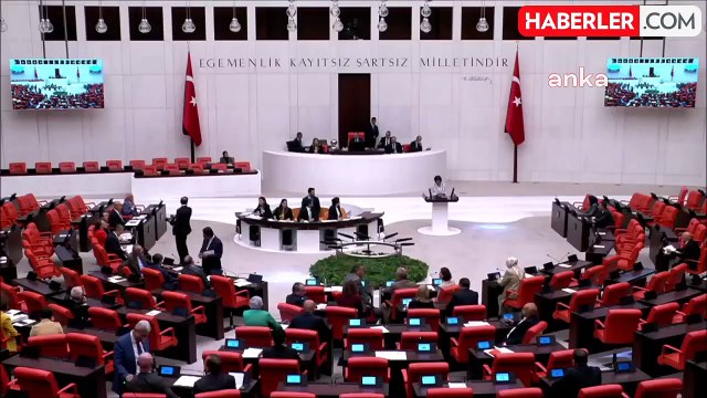 CHP Milletvekili Aylin Yaman, Sokak Hayvanlarıyla İlgili Yasa Teklifinin Sağlık Komisyonu'na Getirilmesini İstedi