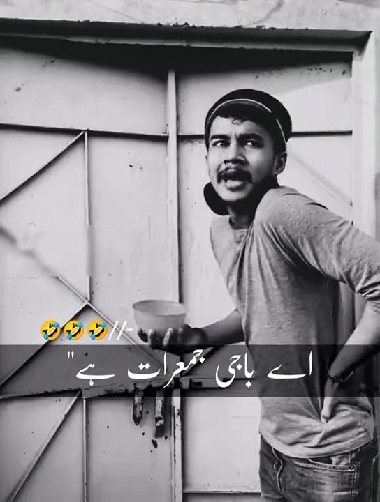 Funny video funny funny