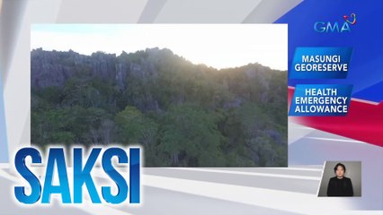 Hollywood actor Leonardo DiCaprio, nakiisa sa panawagang protektahan ang Masungi Georeserve sa Rizal | Saksi