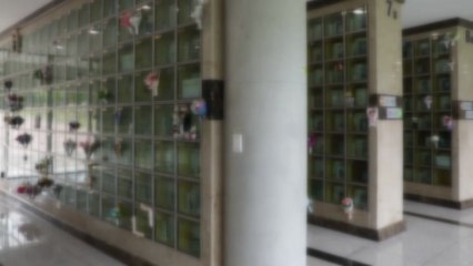 '관리비 미납' 유공자 유해 '예우 방안' 논의 착수 / YTN