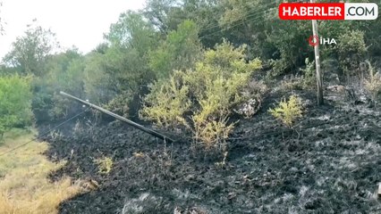 Kastamonu'da bir orman yangını daha çıktı
