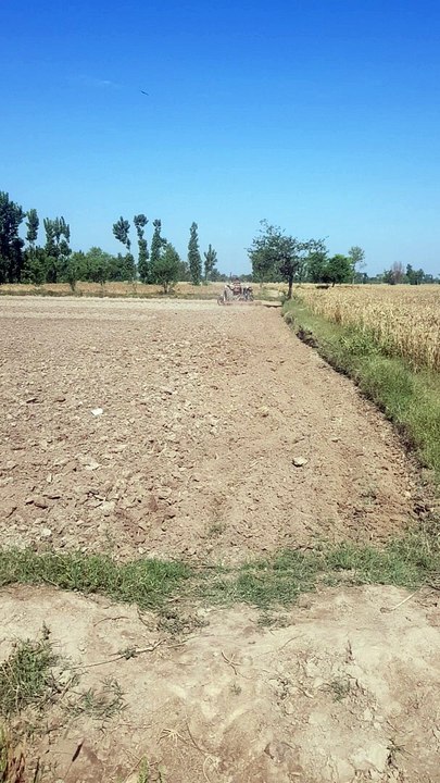 Farming jatt life
