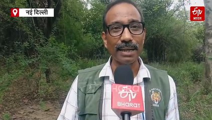 द‍िल्‍ली को कैसे सेहतमंद रखने में मददगार बन रहे ये बायोडायवर्सिटी पार्क, पर्यावरणविद डॉ. फैयाज ने बताई ये बात