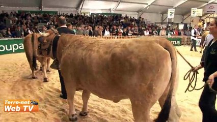 Valsou et Mourouze grands champions, les témoignages des juges et des éleveurs