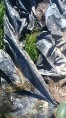 Je viens d'avoir une idée malheureusement ça tourne mal