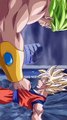 Broly the super saiyan Vs Goku the GOAT