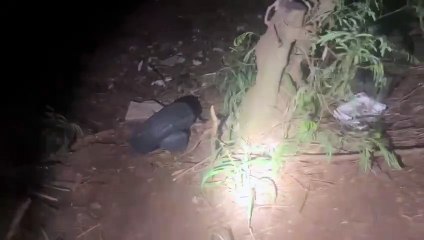 Paraguaio é preso por contrabandear pneus na Ponte da Amizade em Foz do Iguaçu