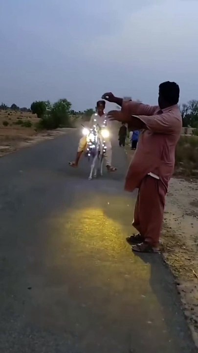 Horse car funny shortvideo