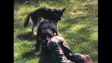 Le Projet Nim Bande-annonce (EN)