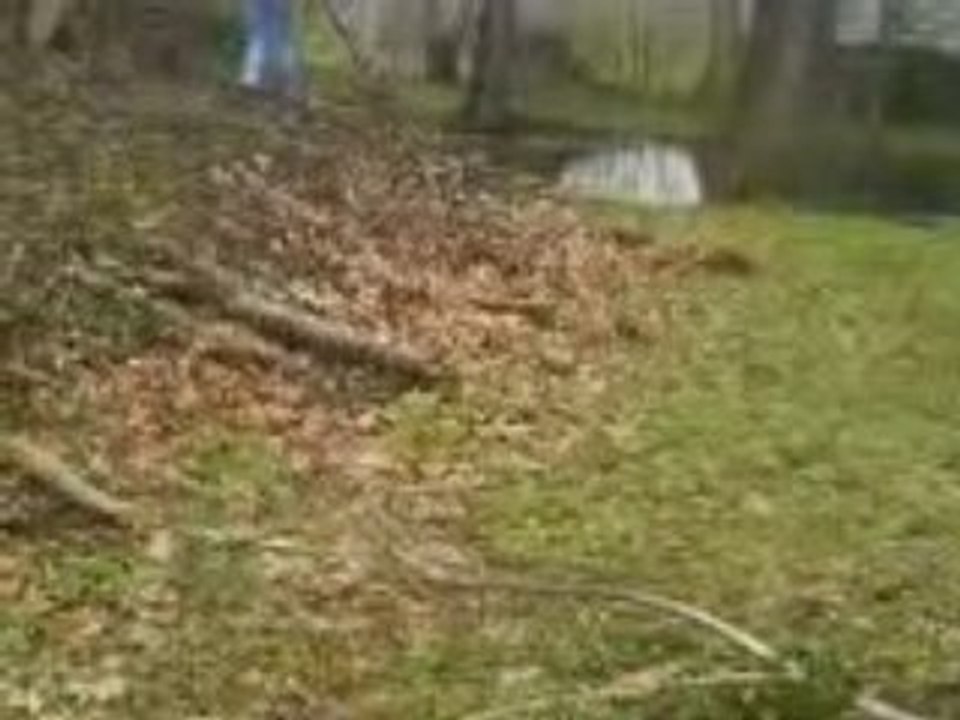 MOV00785