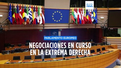 Europarlamento: El grupo de extrema derecha Identidad y Democracia podría desaparecer