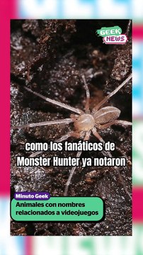 Animales con nombres relacionados a los videojuegos | Reporte Indigo