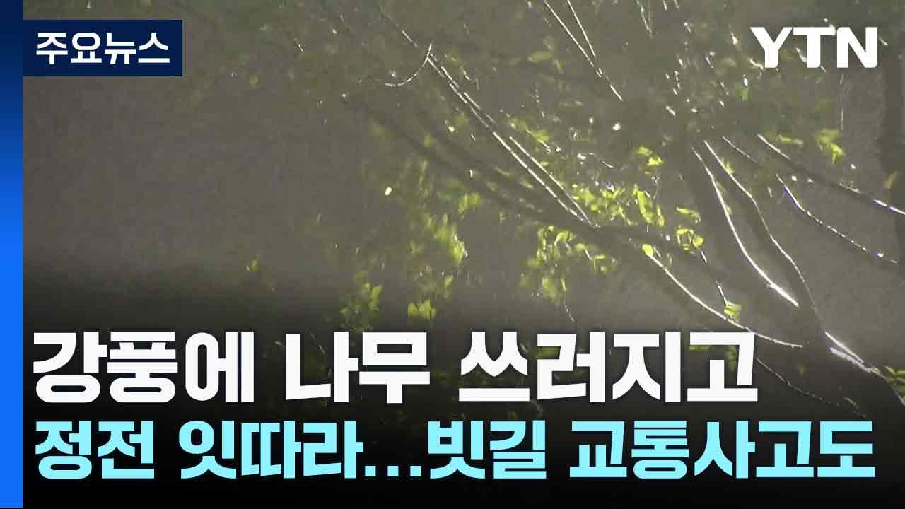 강풍에 나무 쓰러지고 정전 잇따라...빗길 교통사고도 / YTN