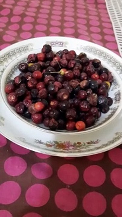 Falsy is agood fruit