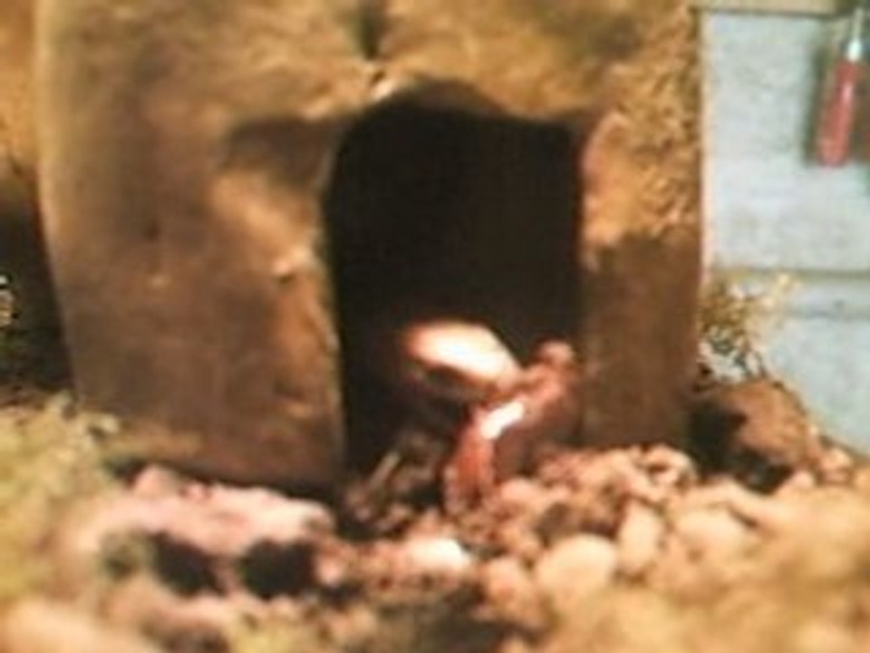 orvet vs limace