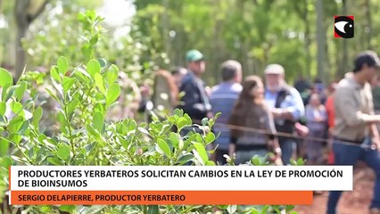 Télécharger la video: Productores yerbateros solicitan cambios en la ley de promoción de bioinsumos