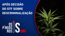 Governistas querem anistiar presos com até 40g de maconha