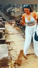 Funny monkey snatching juice from a beautiful lady