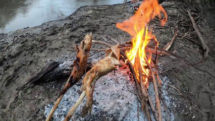 Increíble la PESCA en este Arroyo | PESCA Y COCINA de BAGRES a la estaca | Exploración y Naturaleza