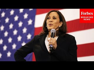 'If She Were To Take The Reins...': Dem Strategist Discusses A Potential Kamala Harris Candidacy