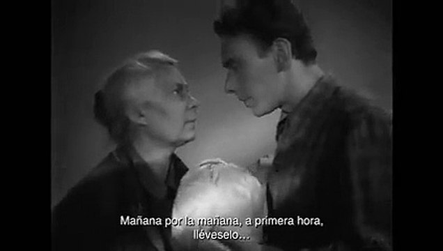 Las grullas vuelan Pelicula Completa Pelicula Dramatica Subtitulos en Español Latino HD