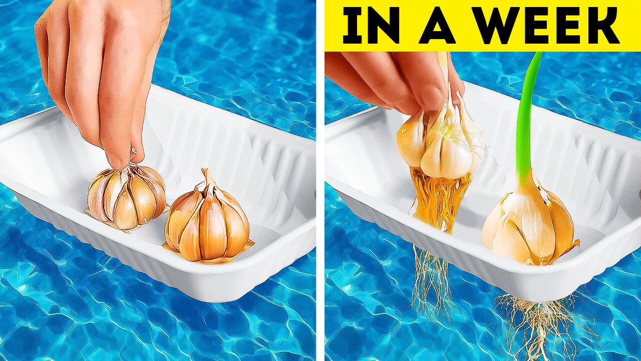 Gardening Hacks: 101 Effective Tips and Tricks to Grow Own Food 