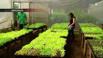 Pese a recomendación de CEDHJ, persisten daños entre estudiantes por pesticidas en Autlán