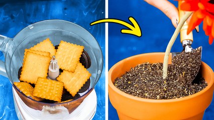 Edible Creations And Street Food Recipes That Will Blow Your Mind