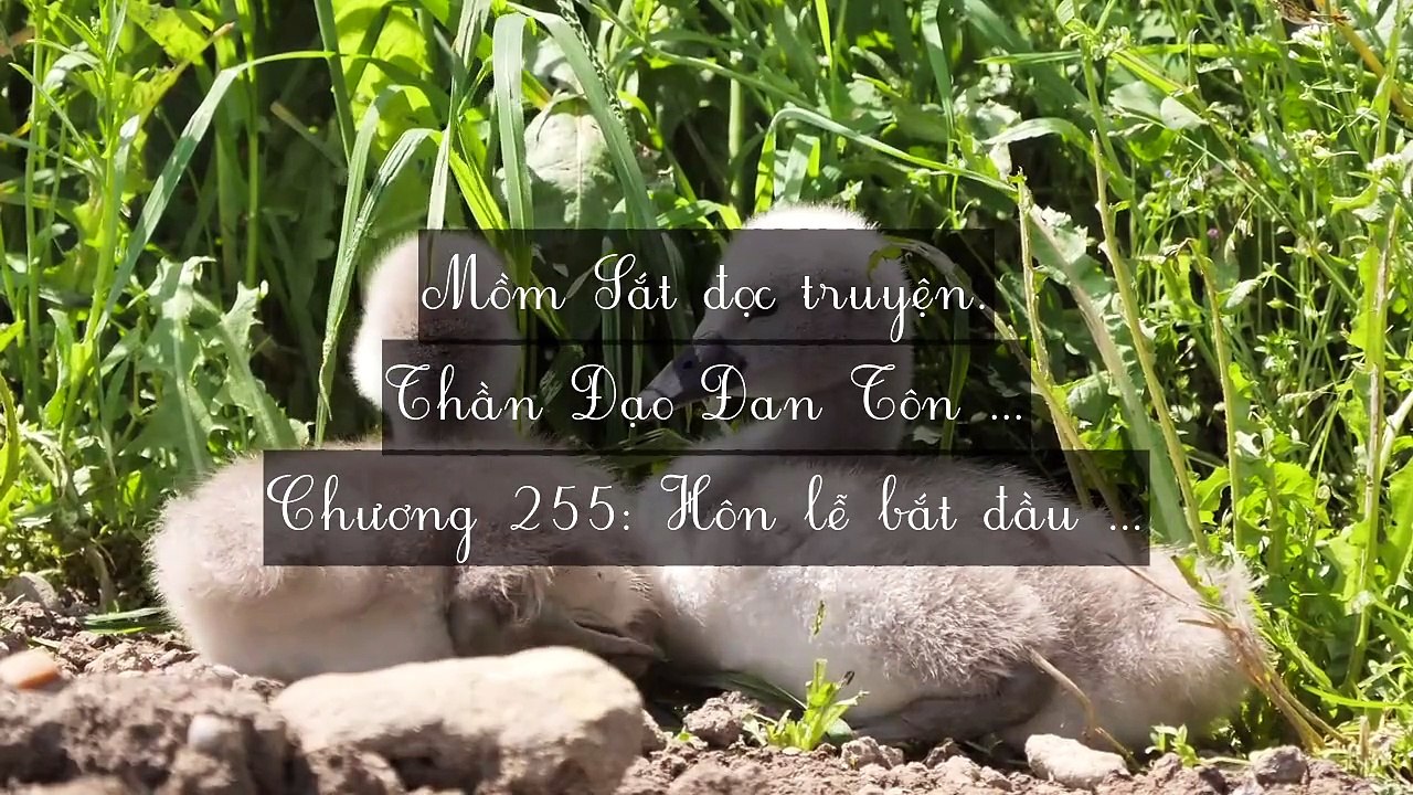 Chương 251-260 Thần Đạo Đan Tôn