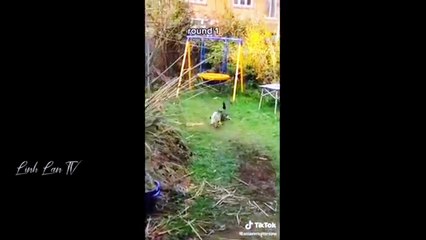 Funny Video | Funn Jock's| | Comedy & Entertainment