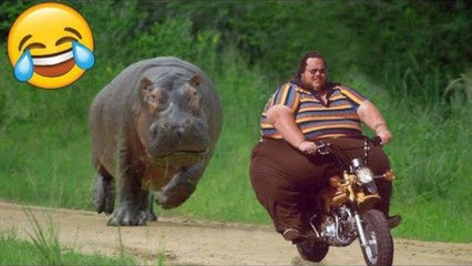 😂 Hilarious Fails & Funny Moments 2024 | Try Not To Laugh Challenge