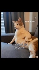 VID-20240705-WA0073